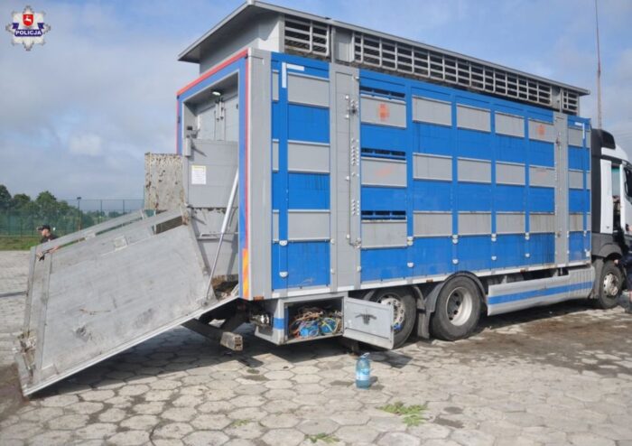 brazylia, ekport mięsa, wołowina, drób