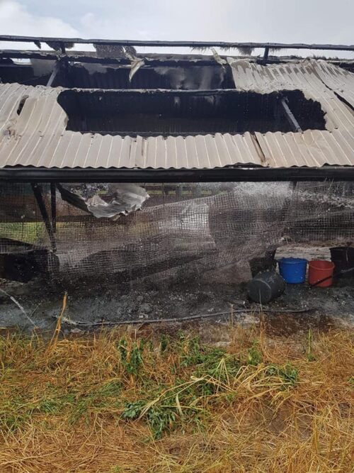 ferma norek, norki, dolny śląsk, gmina cieszków, osp w Gądkowicach