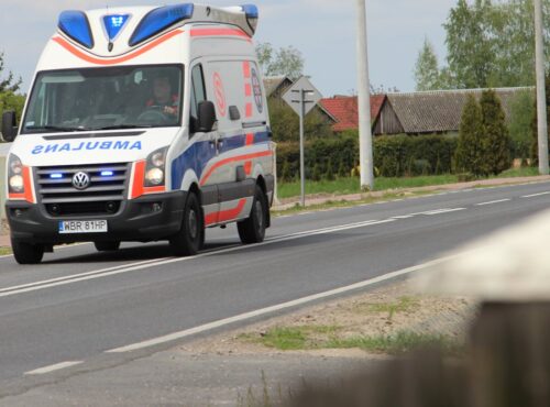 sołtys użądlony przez osy, śmierć rolnika, mazowieckie