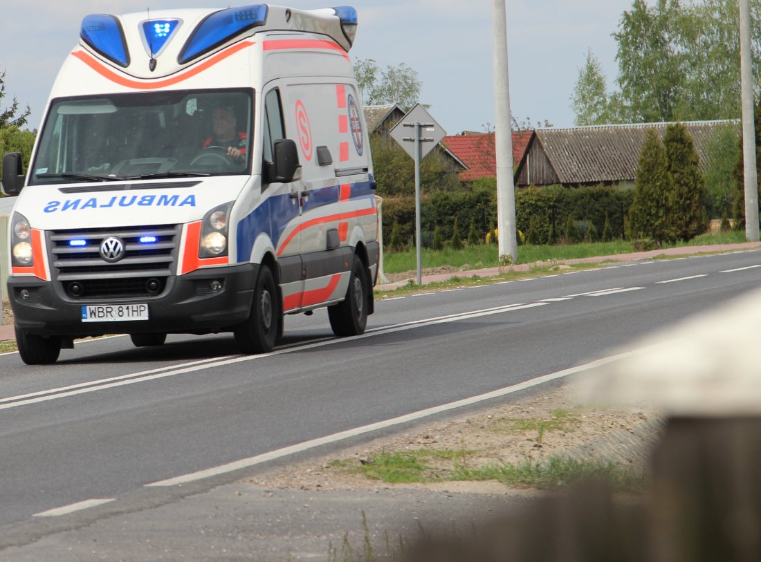 sołtys użądlony przez osy, śmierć rolnika, mazowieckie