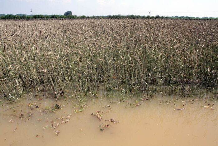 klęska żywiołowa, zasiłek klęskowy, katastrofa naturalna, mswia