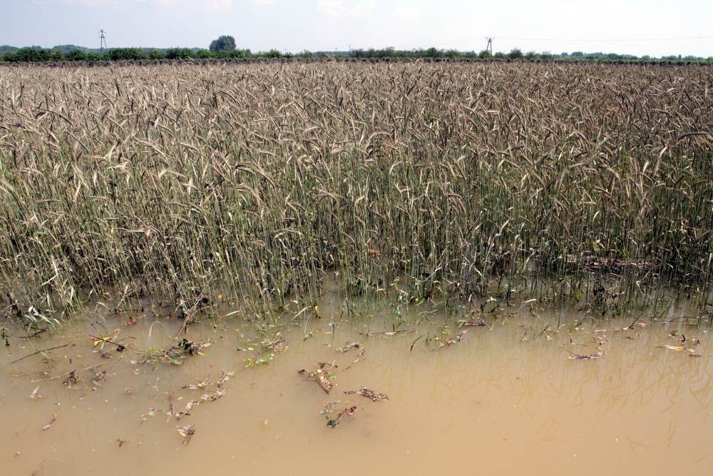 klęska żywiołowa, zasiłek klęskowy, katastrofa naturalna, mswia