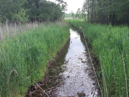 melioracja, spółki wodne, anna moskwa, melioracji gruntów rolnych, sejmowa komisja rolnictwa