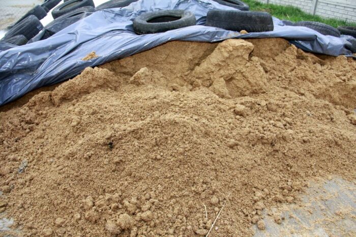 młóto browarniane, żywienie bydła, białko chronione, PFHBiPM