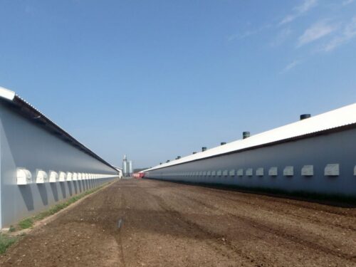 ustawa środowiskowa, ustawa odorowa, stanisław karczewski, Maciej Taborowski