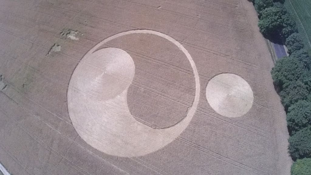 piktogram w zbożu, kręgi na polu, ufo, orchowo, słupca, Marek Szalaty