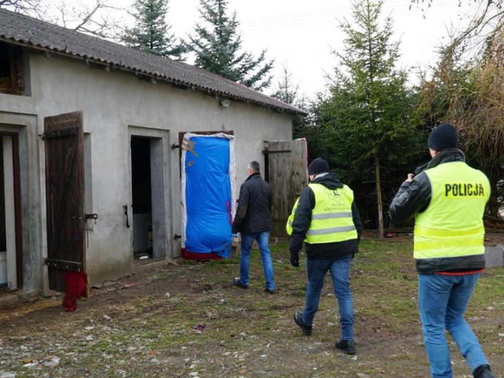 zaręby, gmina Chorzele, KPP w przasnyszu, Krzysztof Błaszczak, znęcanie się nad zwierzętami