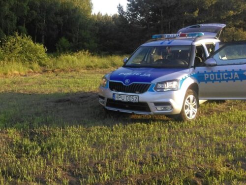 kozy, hodowla kóz, kradzież kóz, łubno, adam szeląg