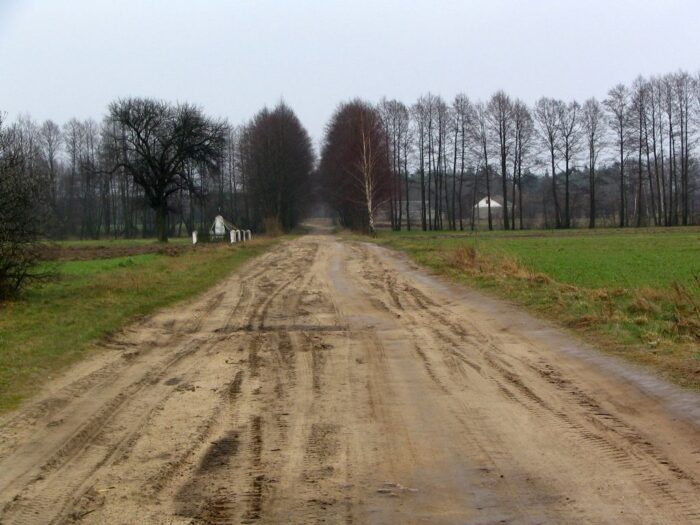 Rachodoszcze, powiat zamojski, gmina adamów, Dorota Krukowska-Bubiło, pijany na polnej drodze