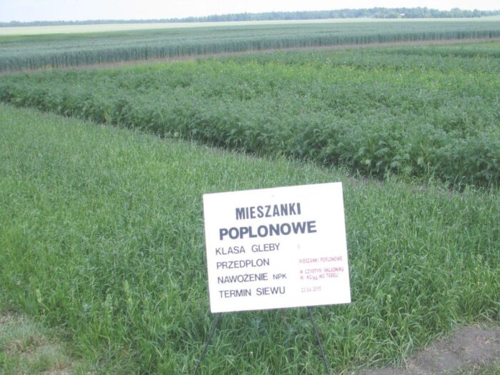 wysiew poplonów, praktyka zazieleniania, krir, susza rolnicza, ministerstwo rolnictwa