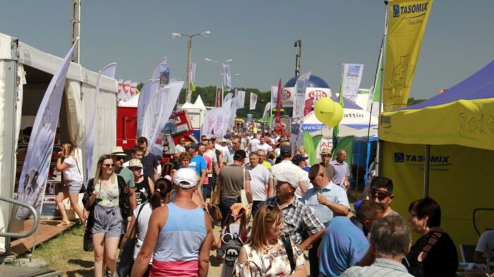 Barzkowice, targi, pokaz bydła mlecznego, bydło mięsne,