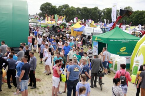 Szepietowo, wystawa, bydło, targi, pokazy