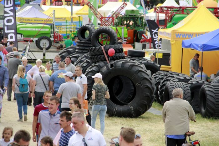 Szepietowo, wystawa, bydło, targi, pokazy