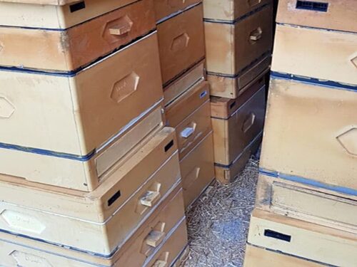 kradzież uli, kradzież w pasiece, Pasiecznik, Lwówek Śląski, Patryk Waloszczyk