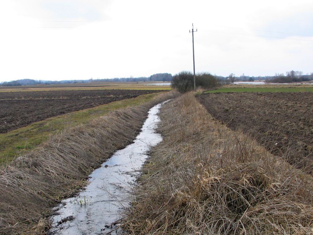 spółki wodne, walka z asf w polsce, asf, prow 2014-2020. melioracja, budowa ogrodzeń