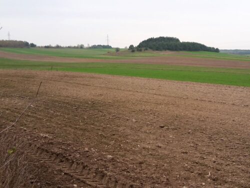 nawożenie, NIK, raport, gleba, uprawa, badanie gleby