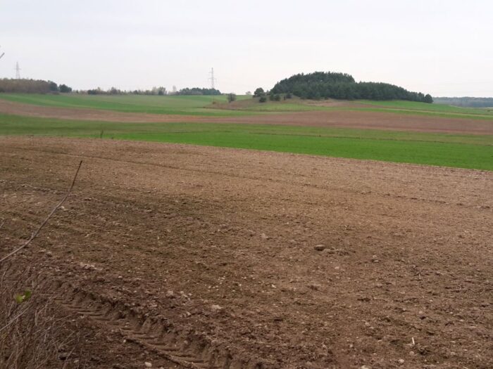 nawożenie, NIK, raport, gleba, uprawa, badanie gleby