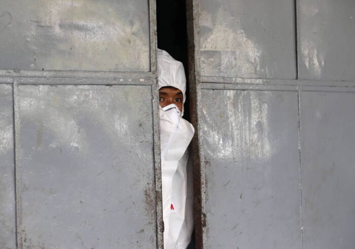 asf na ukrainie, obwód lwowski, kawsko, Hałyczyna-Zachid