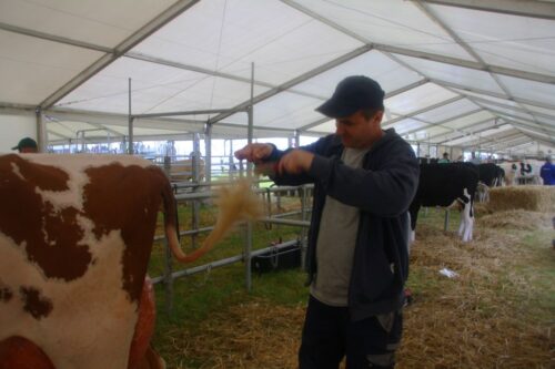 konkurs bezpieczne gospodarstwo, zakłady rolne, gospodarstwo indywidualne, kowr, krus