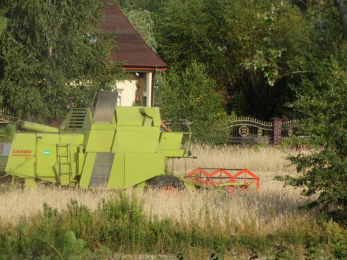 żniwa 2019, zbiory zbóż, plony i jakość zbóż, susza, KFPZ, Rafał Mładanowicz, GUS, szacunki zbiorów zbóż, Elewarr