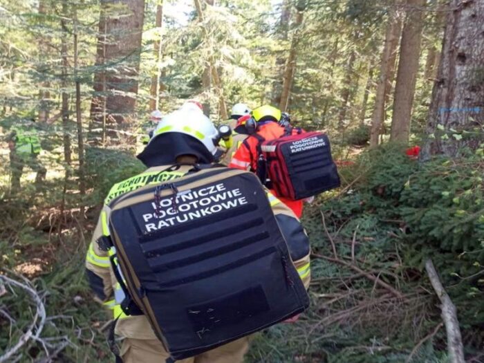 las, ściółka, pożary lasów, susza