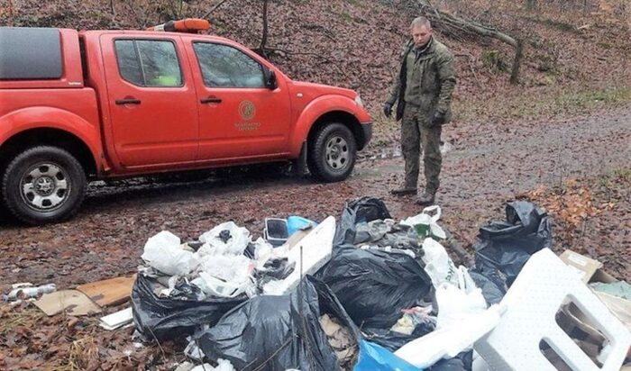 lasy_panstwowe_sprzedaz