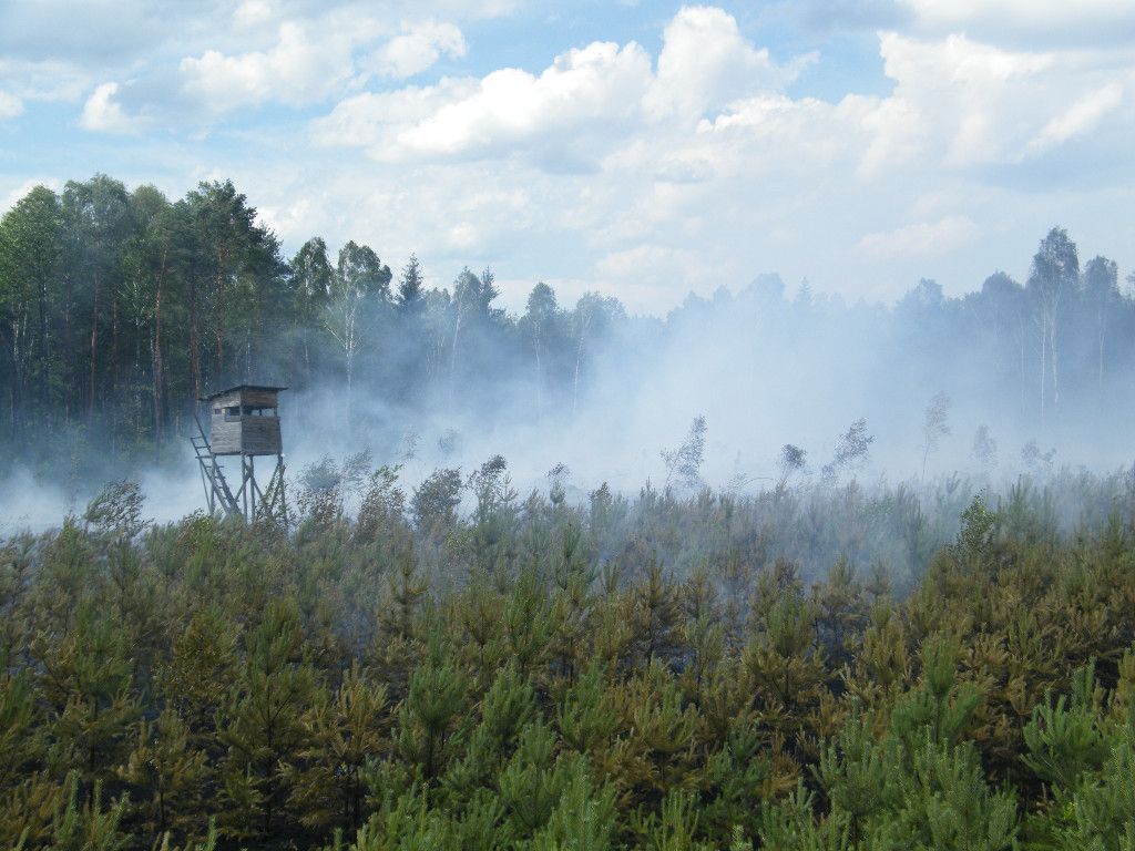 myśliwi, Polski Związek Łowiecki, udział dzieci w polowaniu, projekt nowelizacji Prawa łowieckiego, Sejm RP