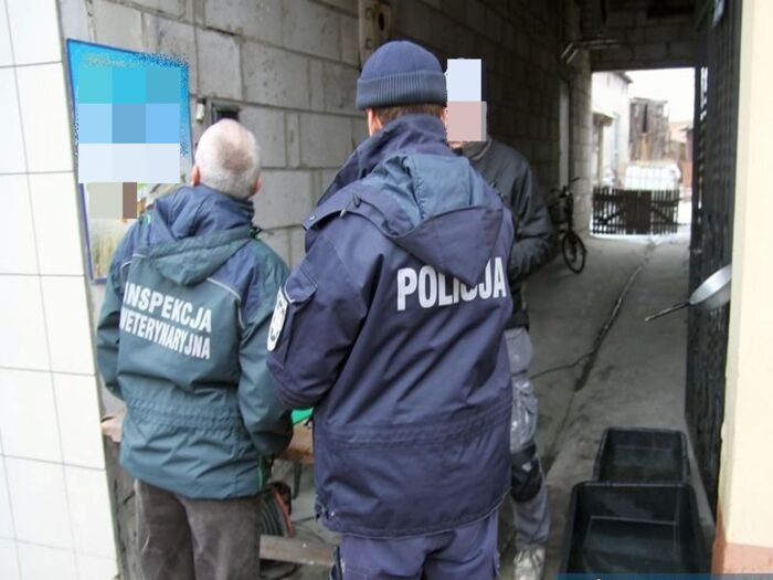 pijani traktoryści, gmina Wiżajny, powiat suwalski, kmp w suwałkach