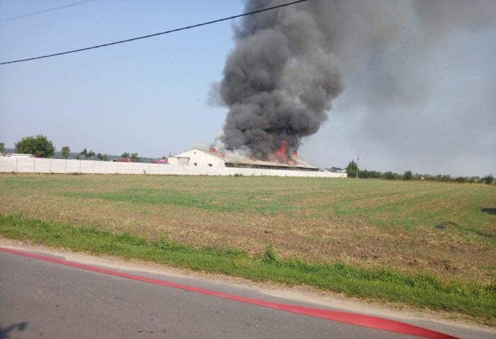pożar gospodarstwa, świętokrzyskie, Kolonia Grzybów, straż pożarna, gowin, pomorze