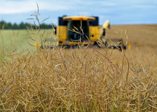 spis rolny, gus, główny urząd statystyczny, struktura rolnictwa, struktura gospodarstw rolnych, andrzej duda