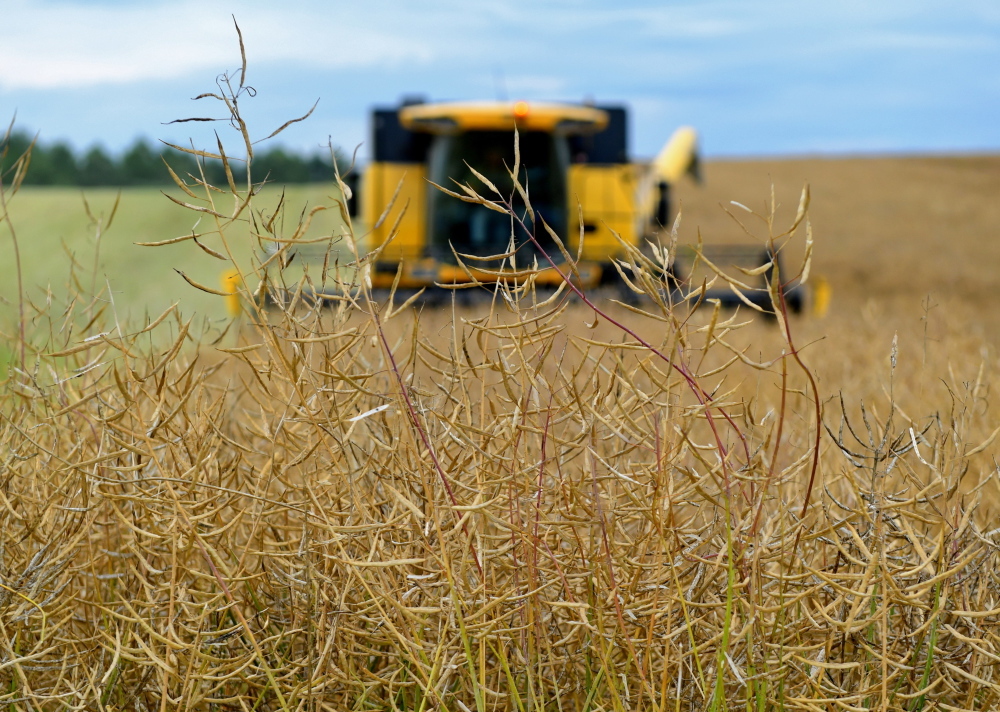 spis rolny, gus, główny urząd statystyczny, struktura rolnictwa, struktura gospodarstw rolnych, andrzej duda
