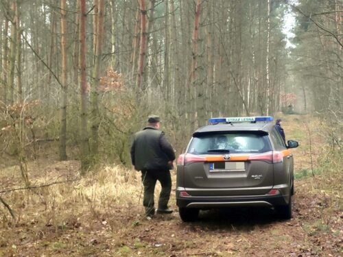 prawo łowieckie, polski związek łowiecki, ministerstwo środowiska, henryk kowalczyk, gospodarka leśna