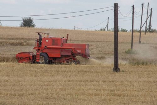susza rolnicza, straty w uprawach z powodu suszy, szacowanie strat, niedobory wody, pomoc dla rolników