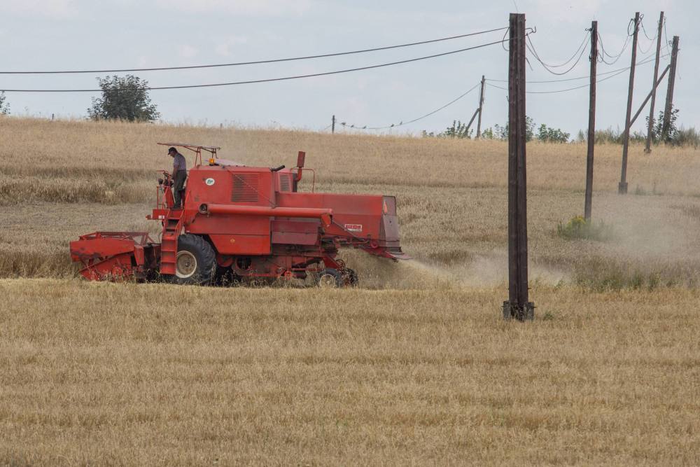 susza rolnicza, straty w uprawach z powodu suszy, szacowanie strat, niedobory wody, pomoc dla rolników