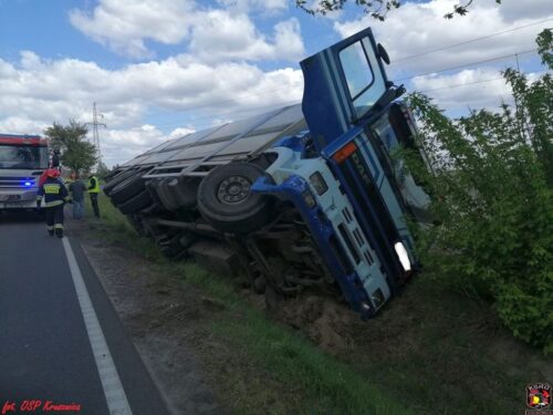 brazylia, ekport mięsa, wołowina, drób