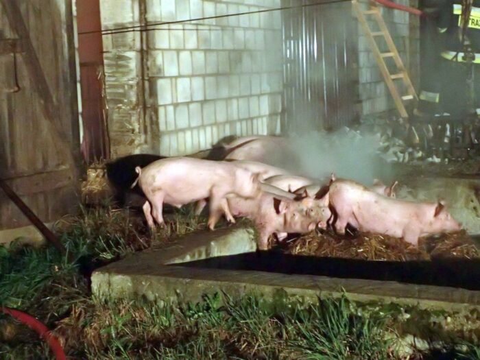 pożary w gospodarstwach