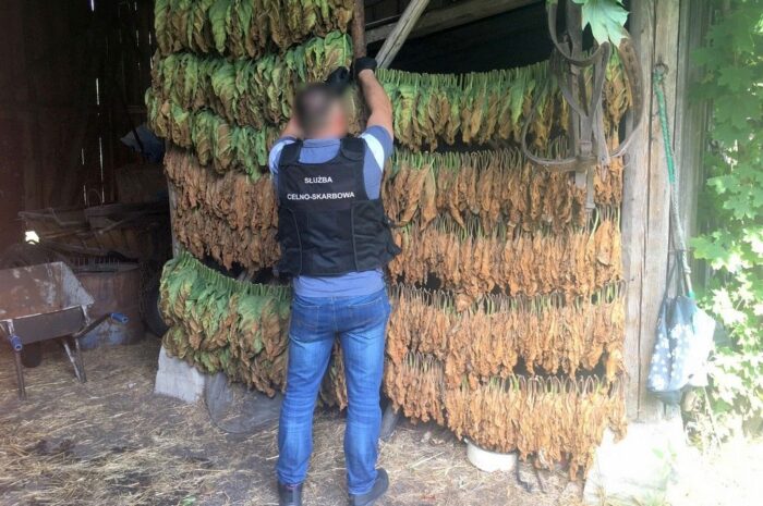 gmina sztabin, Fabryka papierosów w gospodarstwie, przestępczość, kas, Krajowa Administracja Skarbowa