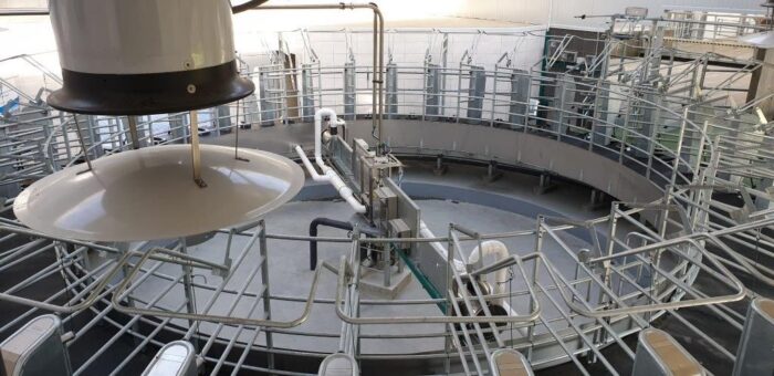 GEA, Karuzela, roboty, bydło mleczne