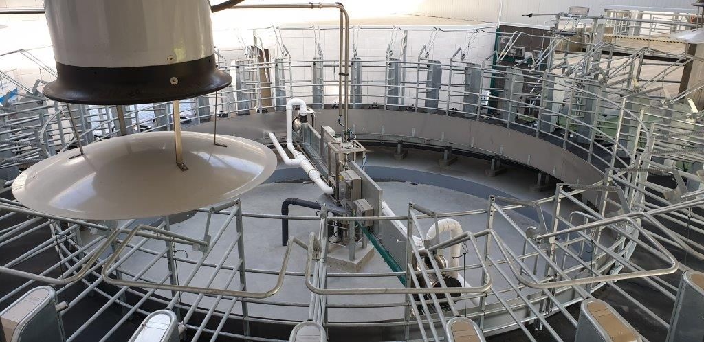 GEA, Karuzela, roboty, bydło mleczne