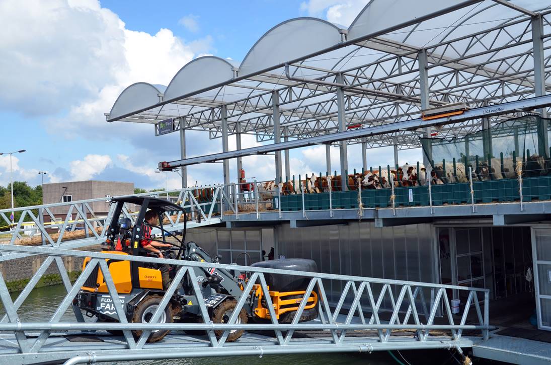 Ładowarka Giant D337T