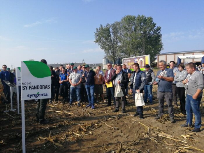 odmiany kukurydzy, odmiany kukurydzy Syngenta Polska, Jerzy Grzesiek, nowe odmiany kukurydzy, HZiNR Polanowice