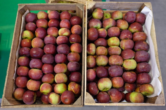 tajlandia, eksport jabłek do tajlandii, sadownictwo, piorin