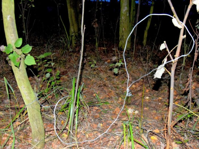 gmina Biała Rawska, powiat rawski, kłusownictwo, KPP w Rawie Mazowieckiej