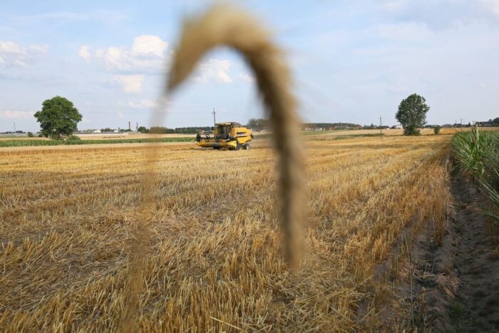 ARiMR, dofinansowanie ARiMR, mała retencja, rolniczy handel detaliczny, pieniądze z Unii Europejskiej, PROW 2014-2020