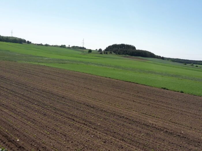 nawożenie, NIK, raport, gleba, uprawa, badanie gleby