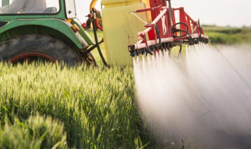 Grupa Ciech poszerza ofertę produktową, Vitroagro P40, Grupa Ciech, krzemian potasu, Ciech Sarzyna, nawóz krzemowy