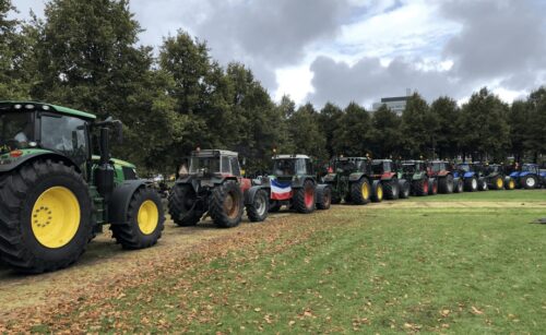 protest rolnikow w Holandii, ekolodzy, bydło, trzoda chlewna