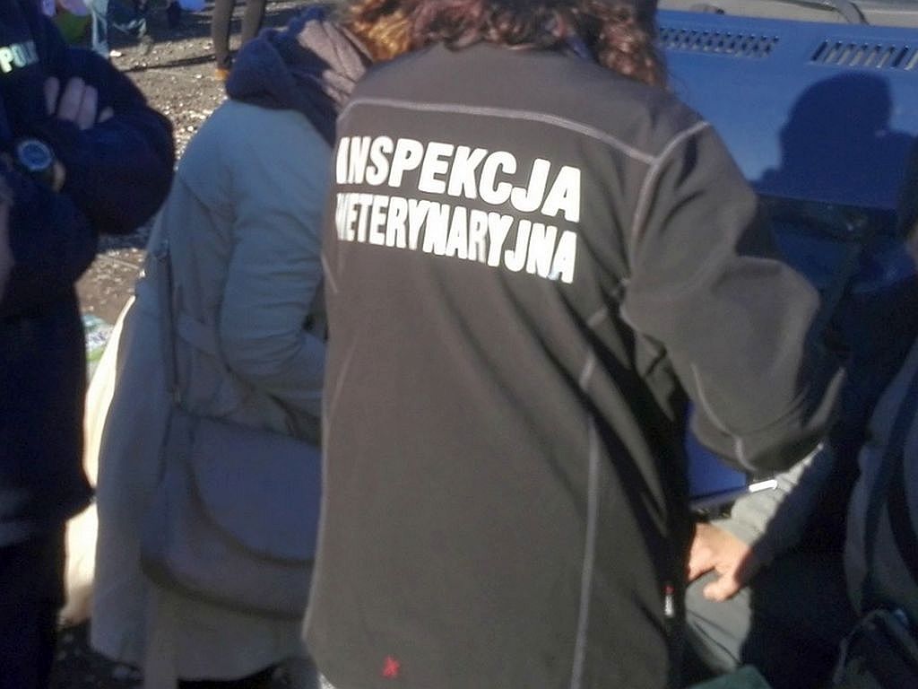 szydłowo, powiat mławski, pasze dla zwierząt, wytwórnia pasz, Czarosław Trochimiuk