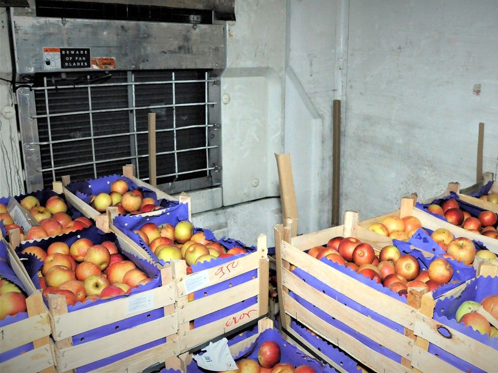 transport jabłek z serbii, zagłębea sadownicze, grójec, straż graniczna,