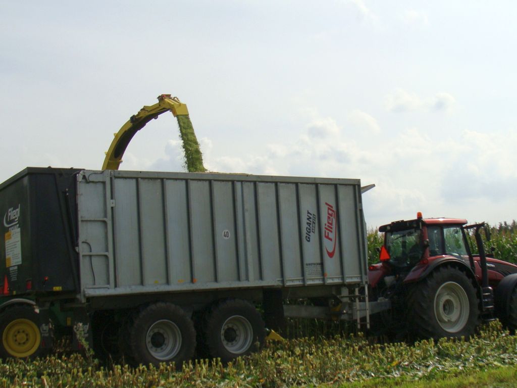ukraina, import zbóż z ukrainy, komisja europejska, kukurydza, pszenica
